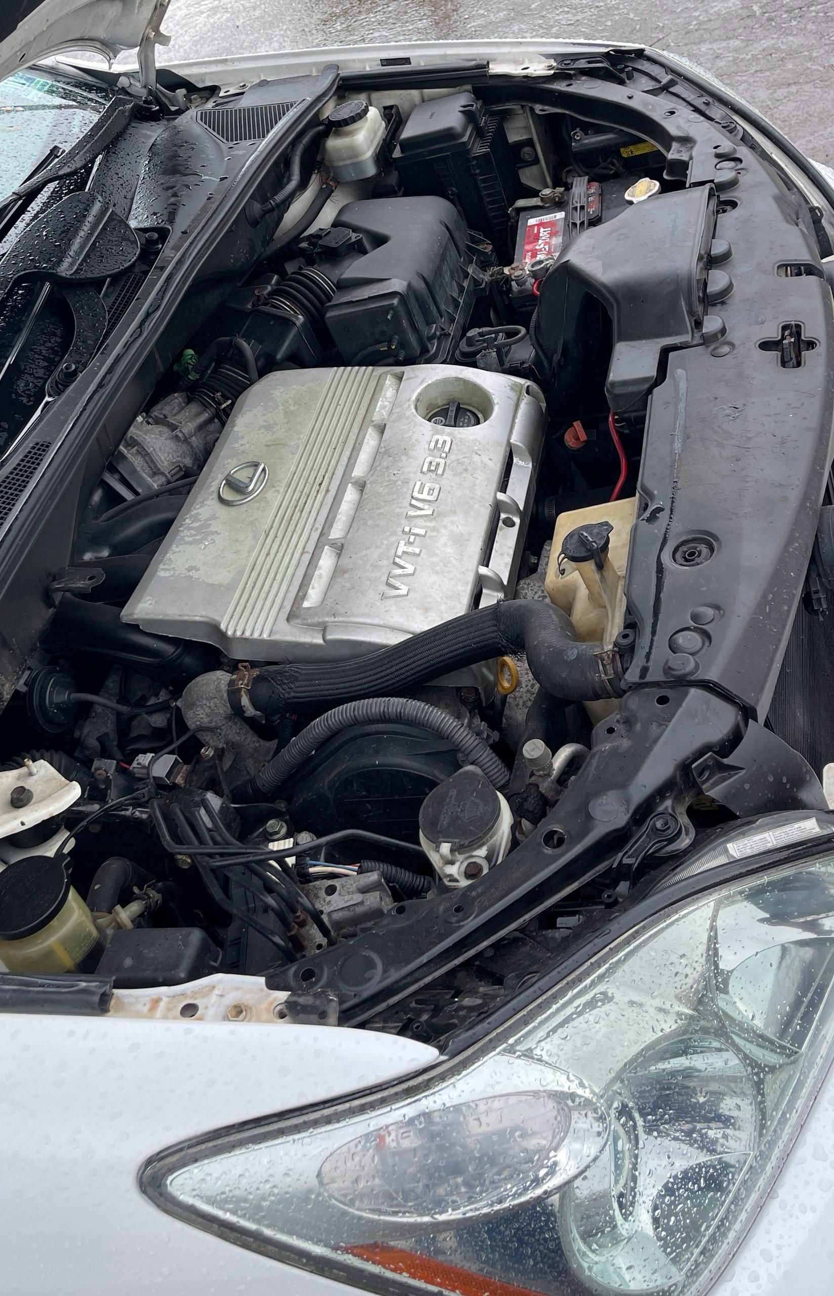 Vehicle - Image 7