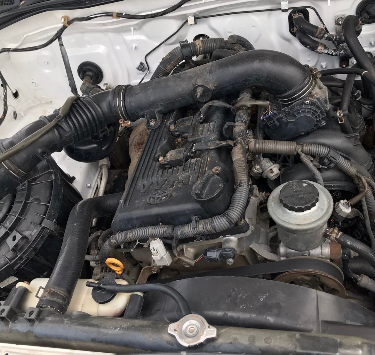 Vehicle - Image 5