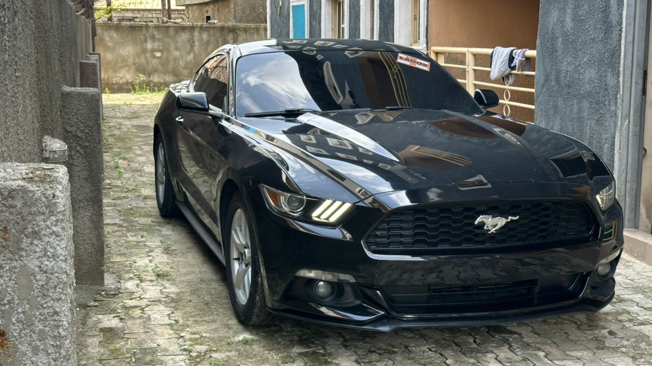 Vehicle - Image 3