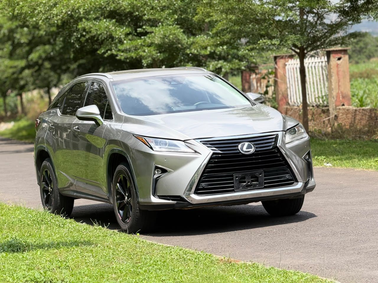 2017 Lexus RX 350 - Image 1