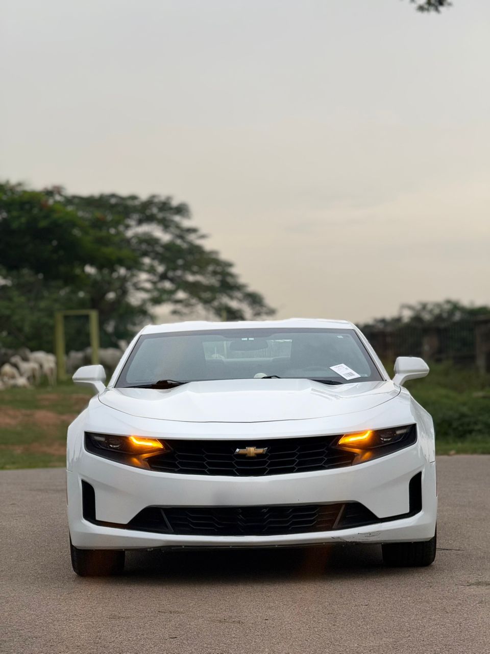 Vehicle - Image 8